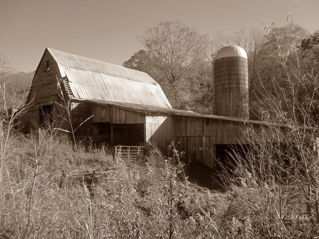 Historic old barn and silo in Virginia by Mary Mills