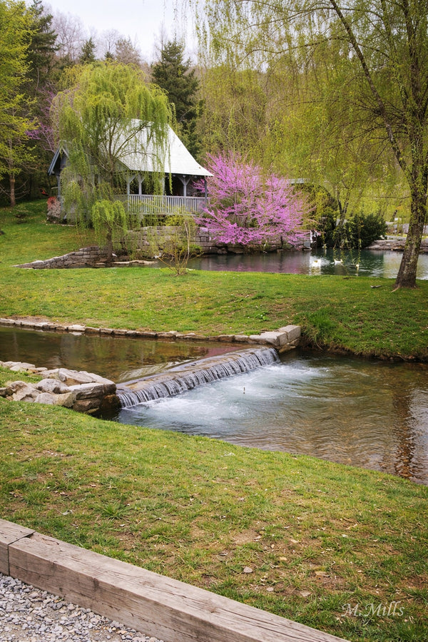 Duck Pond located in Pennington Gap, Virginia.